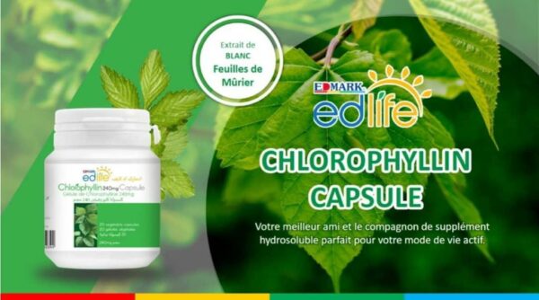 SPLINA CAPSULE EDMARK – Image 5