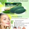 SAVON SPLINA – Image 3