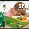 SPLINA LIQUIDE CHLOROPHYLLE – Image 3
