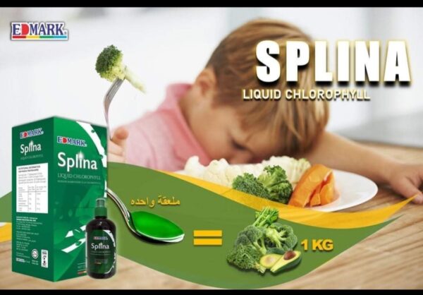 SPLINA LIQUIDE CHLOROPHYLLE – Image 3