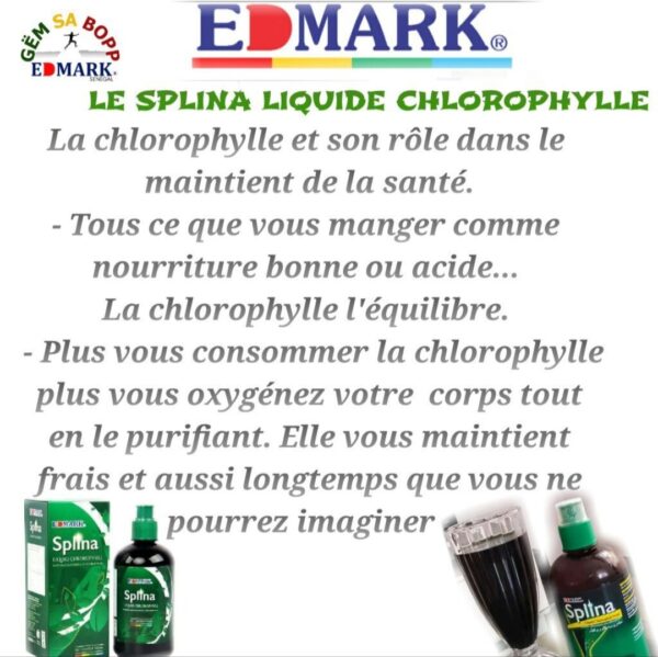 SPLINA LIQUIDE CHLOROPHYLLE – Image 7