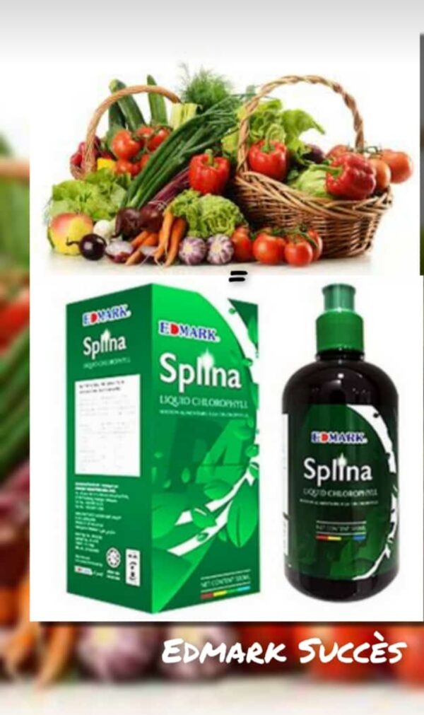 SPLINA LIQUIDE CHLOROPHYLLE – Image 8
