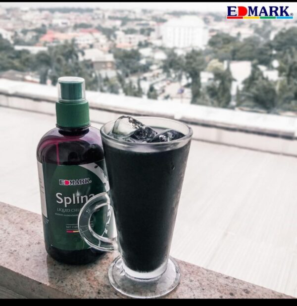 SPLINA LIQUIDE CHLOROPHYLLE – Image 10