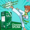SPLINA LIQUIDE CHLOROPHYLLE – Image 12