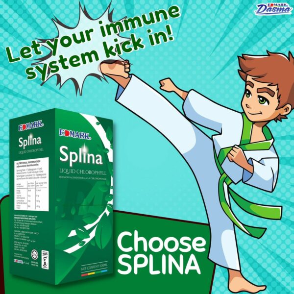 SPLINA LIQUIDE CHLOROPHYLLE – Image 12