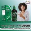 SPLINA LIQUIDE CHLOROPHYLLE – Image 11