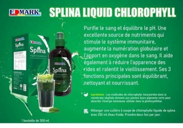 SPLINA LIQUIDE CHLOROPHYLLE – Image 14