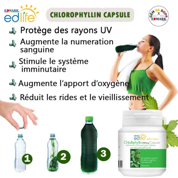 SPLINA CAPSULE EDMARK – Image 2