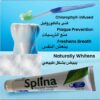 DENTIFRICE SPLINA EDMARK – Image 5