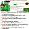 SPLINA LIQUIDE CHLOROPHYLLE – Image 2
