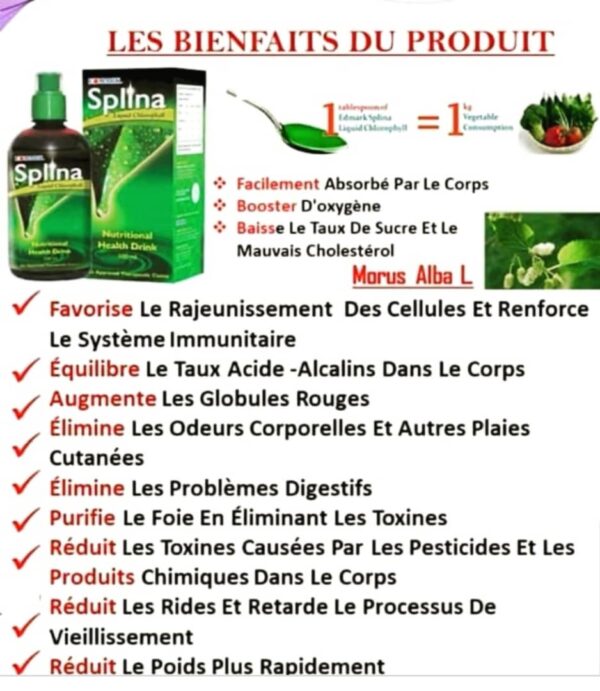 SPLINA LIQUIDE CHLOROPHYLLE – Image 2
