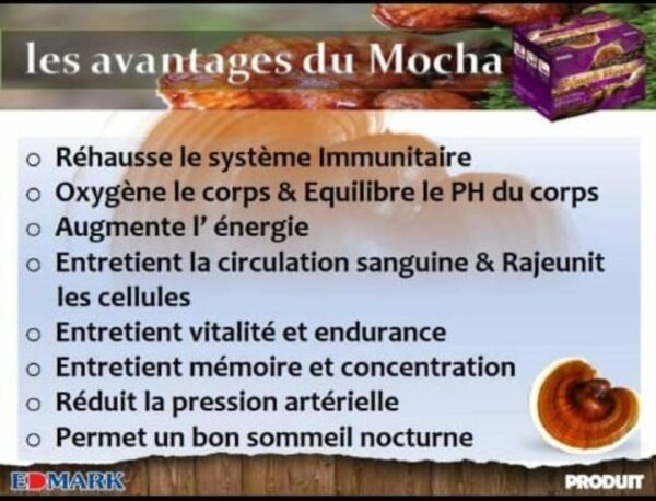 EDMARK MOCHA – Image 4