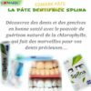 DENTIFRICE SPLINA EDMARK – Image 3